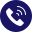 Phone Icon