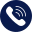 Phone Icon